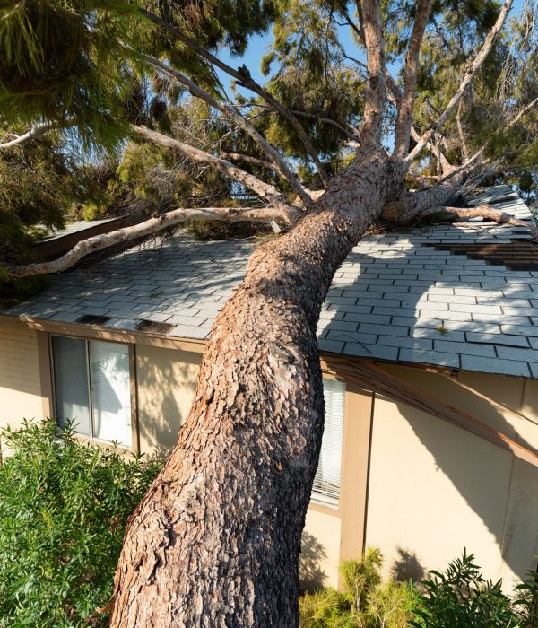 AdobeStock_220870286-1