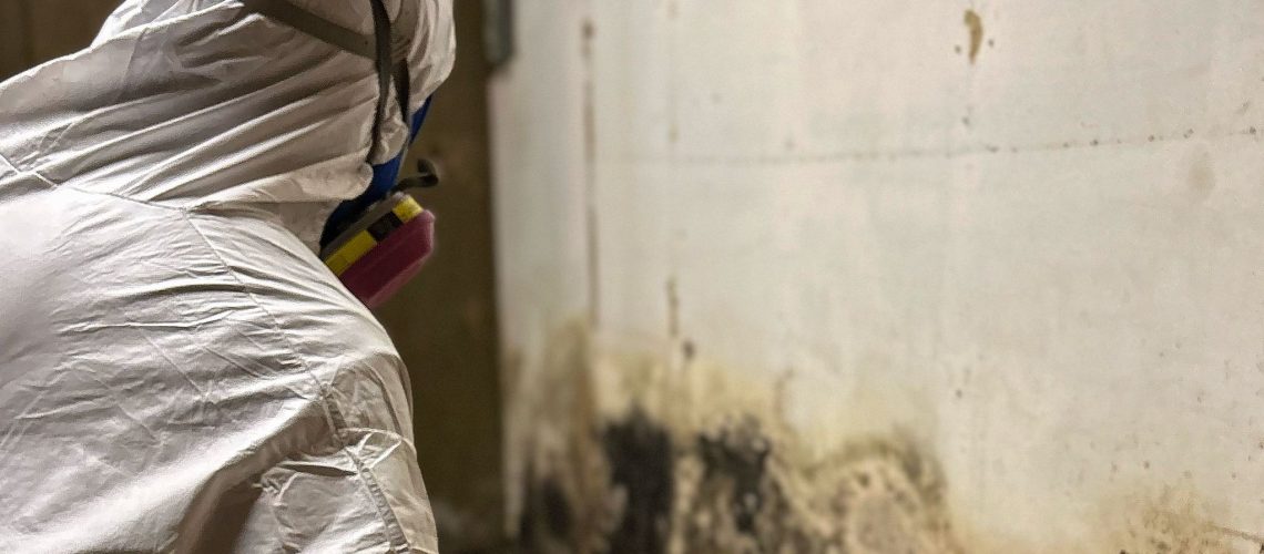 WhatsApp-Image-2024-06-27-at-17.04.24